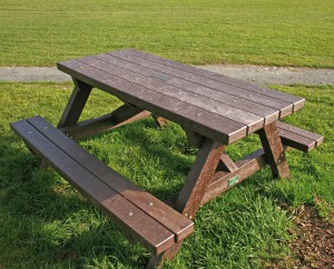 TDP Recycled Plastic Picnic table